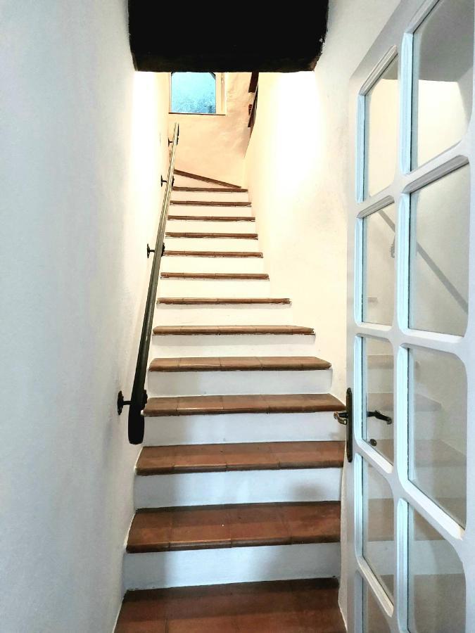 Da Ivo' Apartment มอนเต มาร์เชลโล ภายนอก รูปภาพ